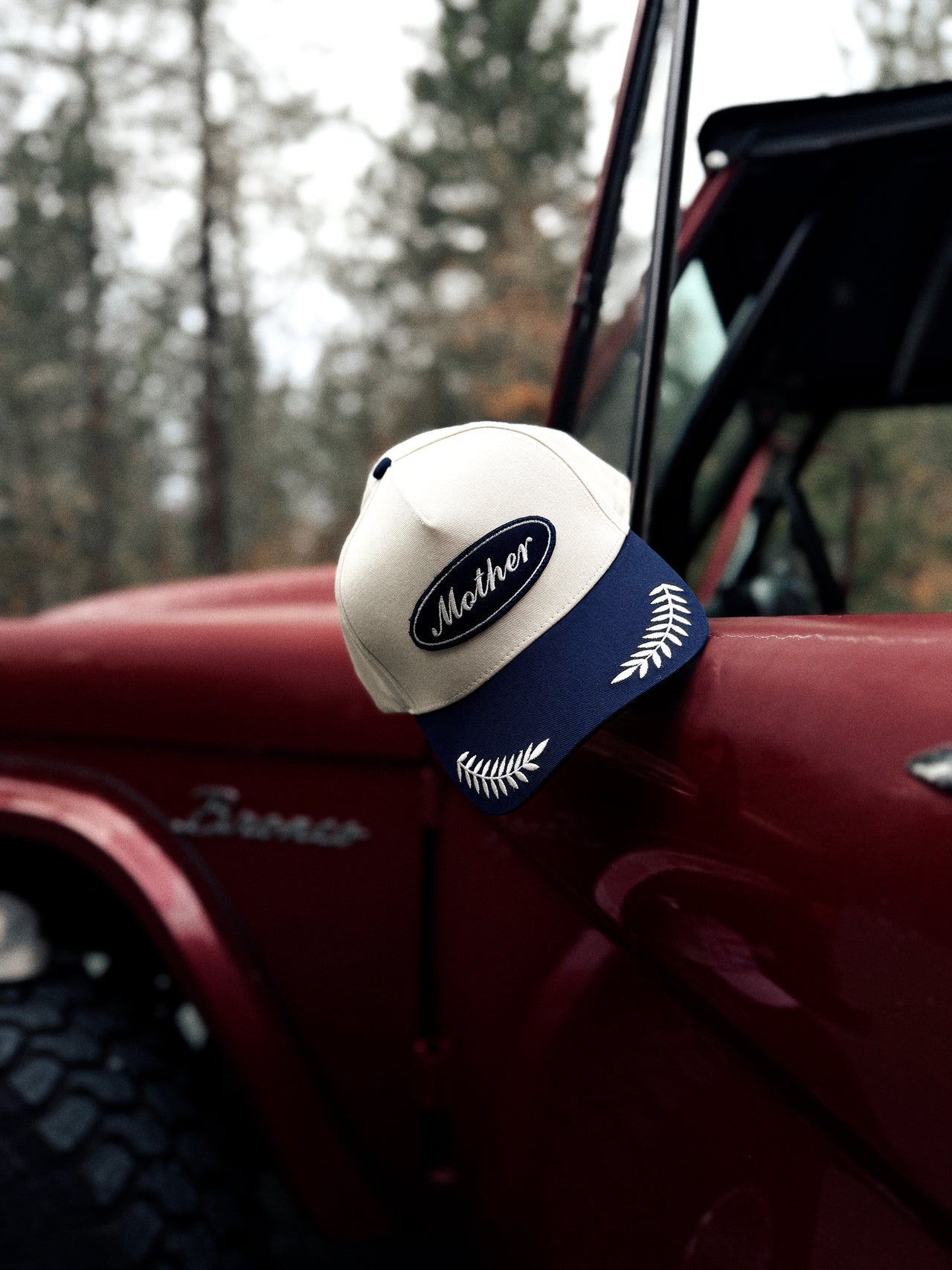 White and blue cap with oak leaves on brim sitting on a maroon bronco in a forest setting